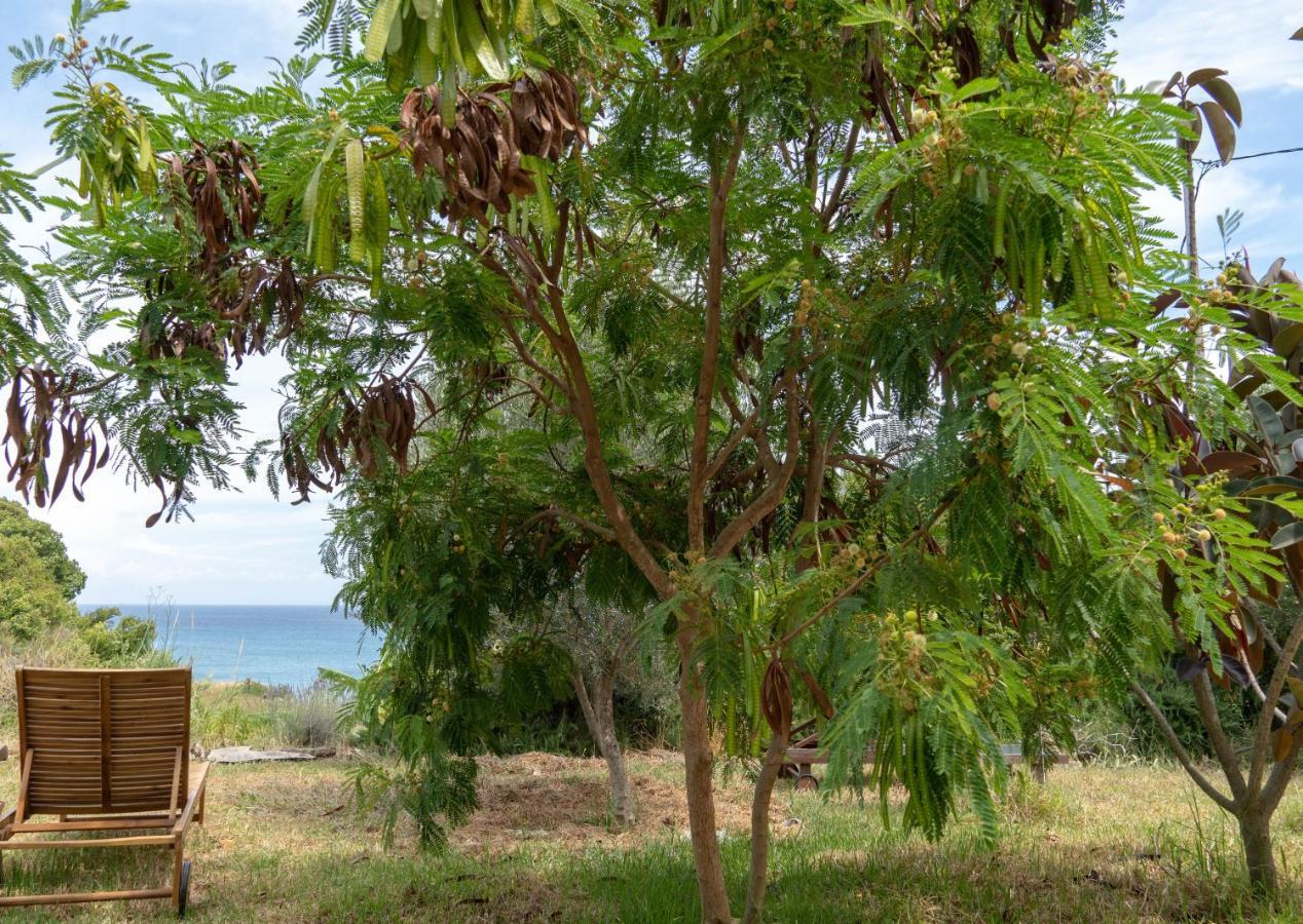 Kalamies - Secluded Beach Apartments Skala  エクステリア 写真