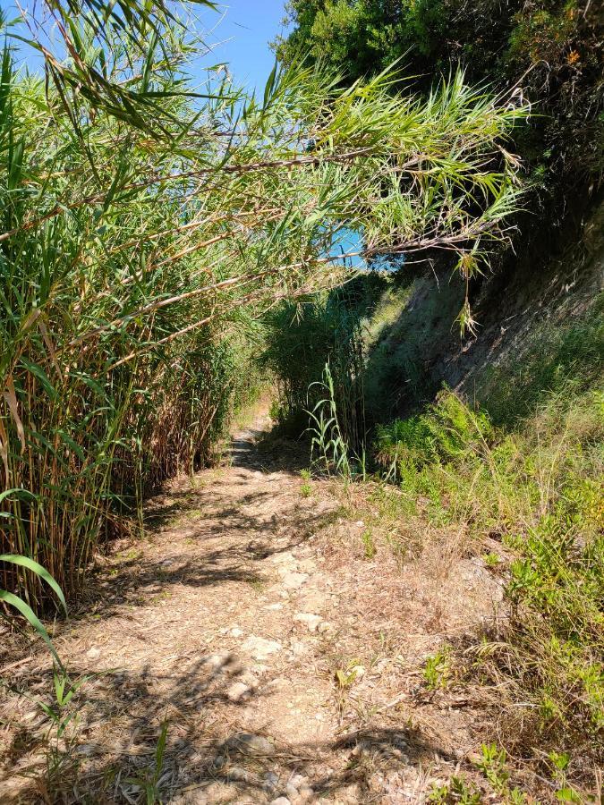 Kalamies - Secluded Beach Apartments Skala  エクステリア 写真