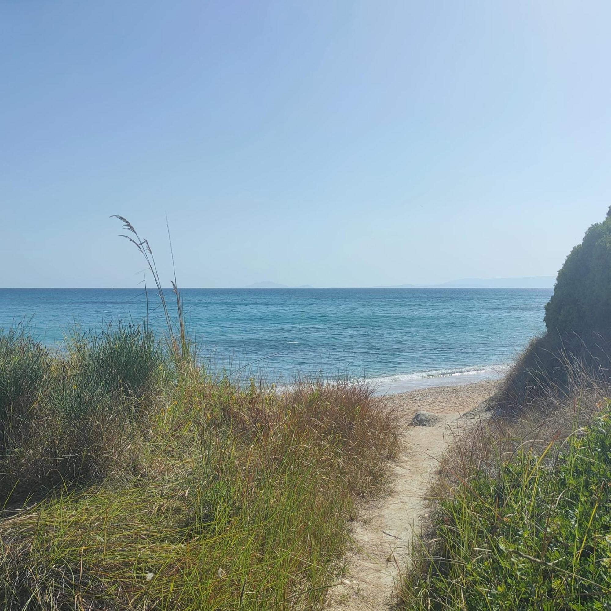 Kalamies - Secluded Beach Apartments Skala  エクステリア 写真